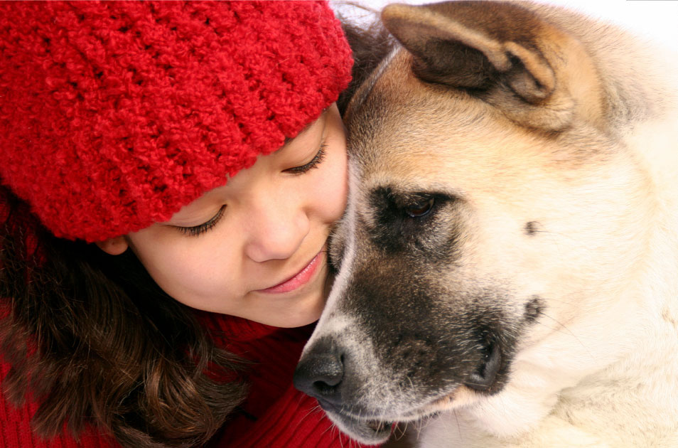 ‘Tis the Season – Give a Gift to a Pet in Need