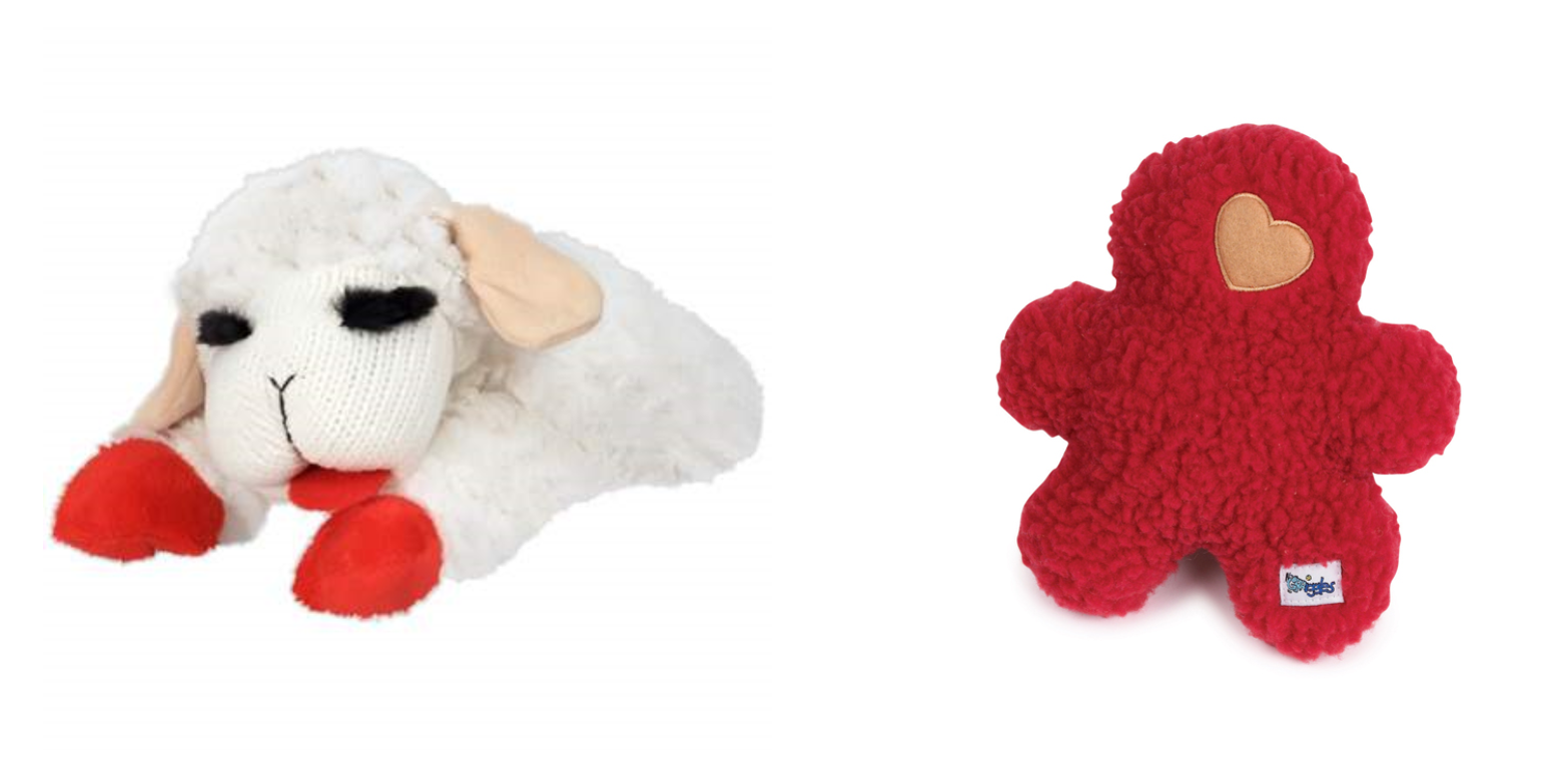 lamb chop teddy