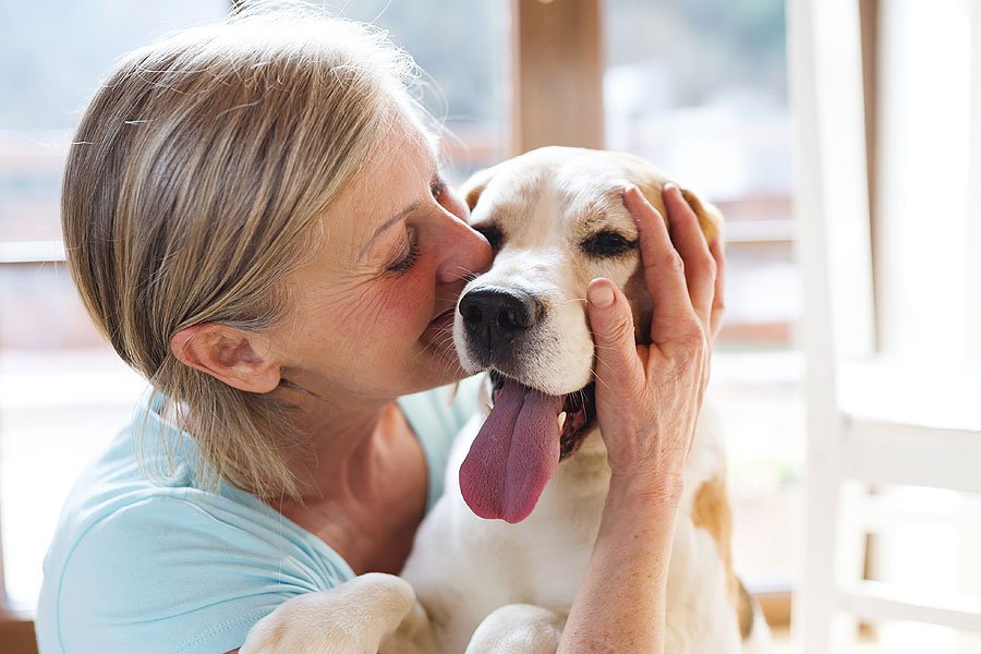 Woman hugging her senior dog