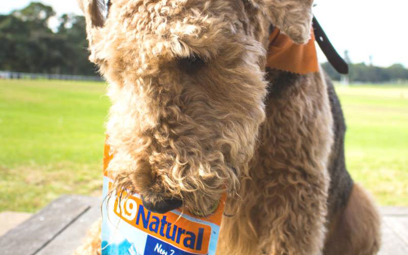 Pet Pros Preferred Product K9 Natural Pet Pros Pet Store