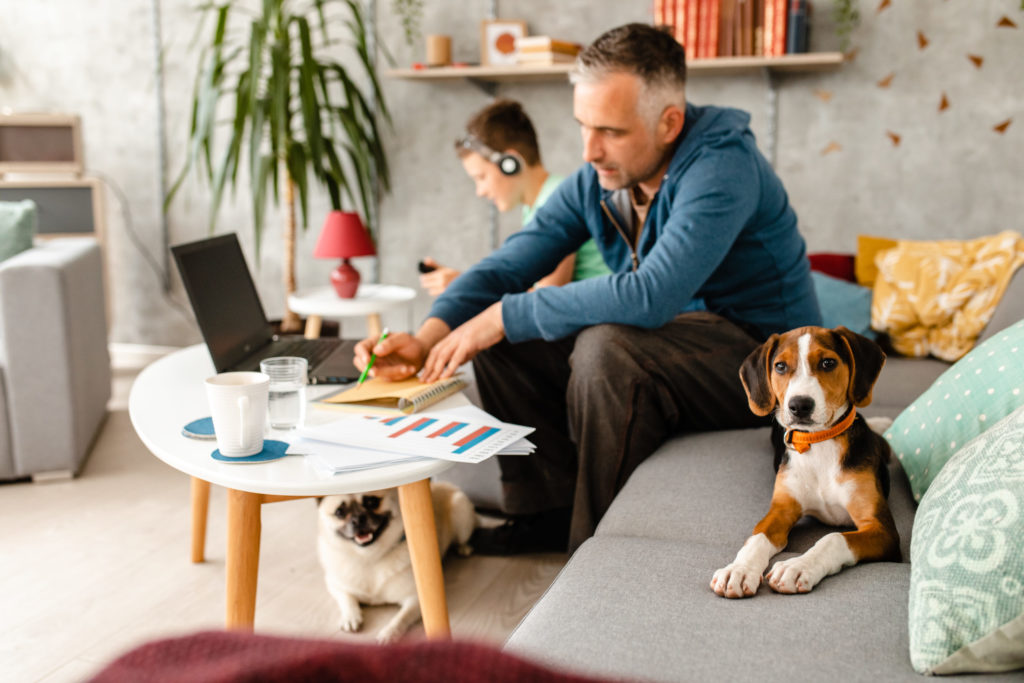 Pet parenting during COVID. Working from home.