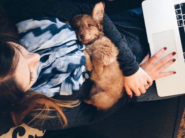 a girl working with a puppy in her arms