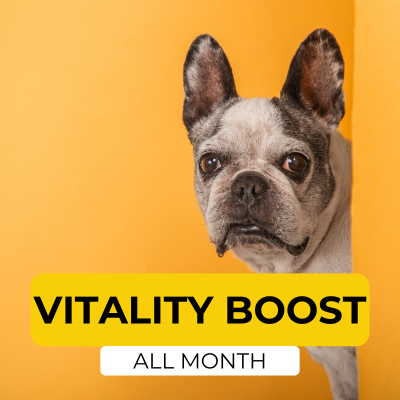 Boost their vitality with species appropriate fresh foods